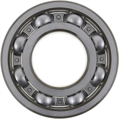 550033 Dana Spicer Differential Bearing