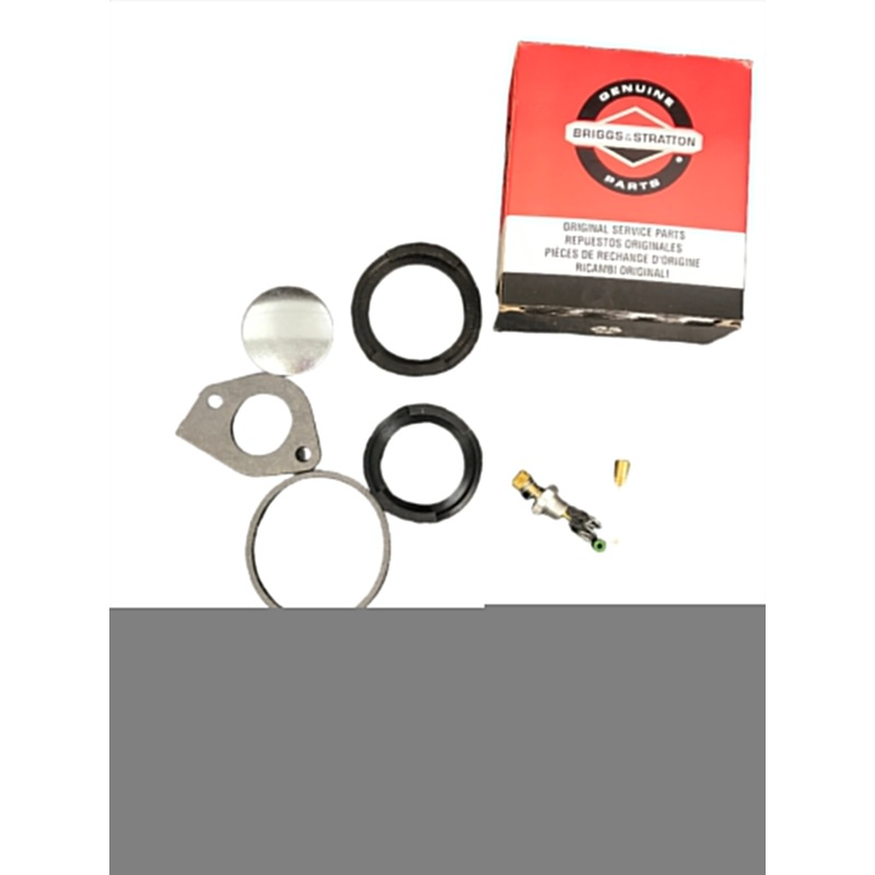 394698 Briggs and Stratton Carburetor Overhaul Kit 49102