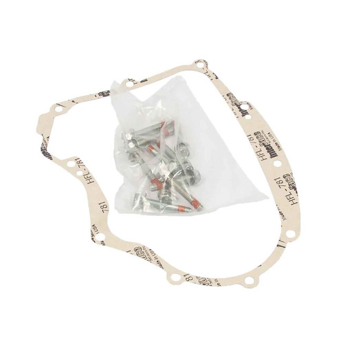 Briggs and Stratton OEM 594195 GASKETCRANKCASE KIT Briggs and Stratton Original Part