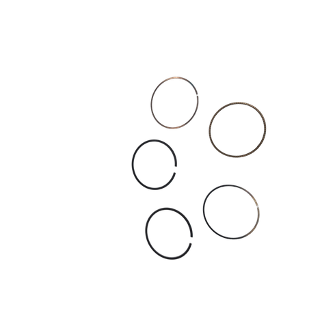 Briggs and Stratton OEM 791792 RING SET020 Briggs and Stratton Original Part