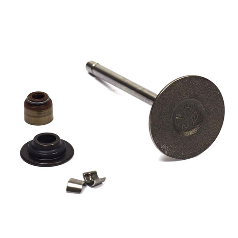 Briggs and Stratton OEM 843730 VALVEINTAKE Briggs and Stratton Original Part
