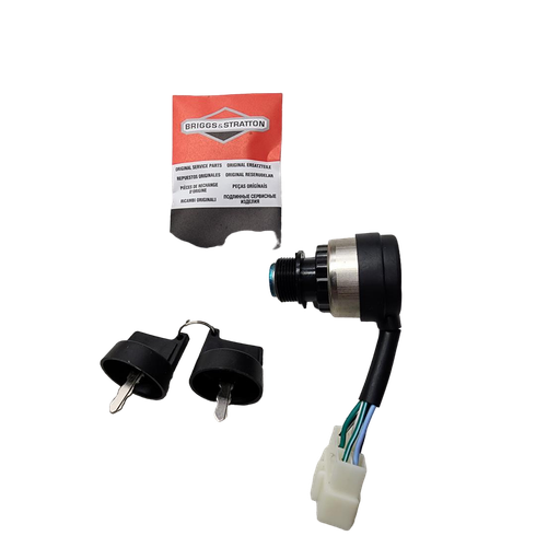 Briggs and Stratton OEM 318307GS SWITCHKEY Briggs and Stratton Original Part