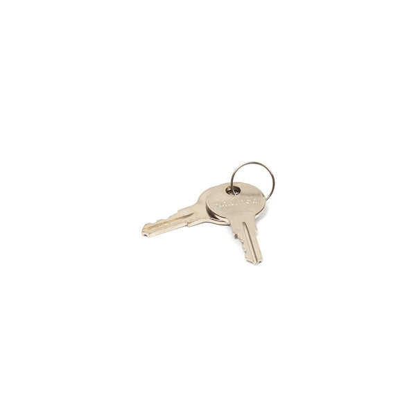 Briggs & Stratton 314290GS Latch Key