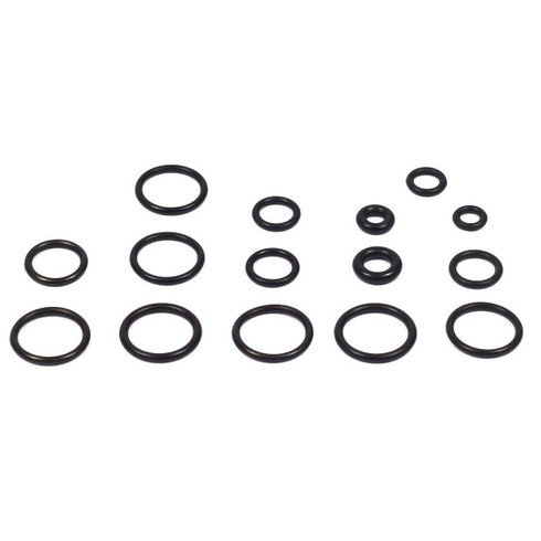 Briggs and Stratton OEM 200346GS KITORING Briggs and Stratton Original Part