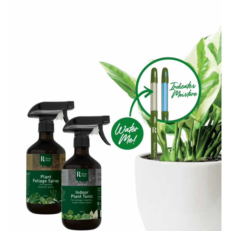 Premium – Rocky Point 3 Item Gift Pack